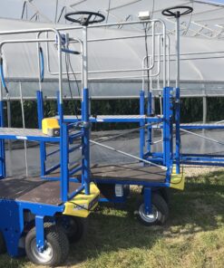 Two blue carts in front of a greenhouse.